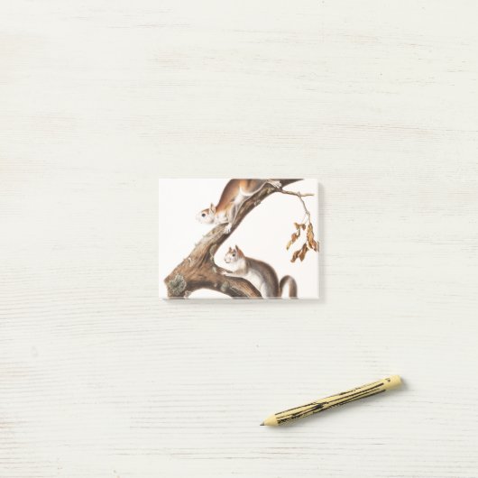 Downy Brown Squirrel House Post-it Klebezettel (Auf Schreibtisch)