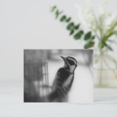 Downy Postkarte (Stehend Vorderseite)