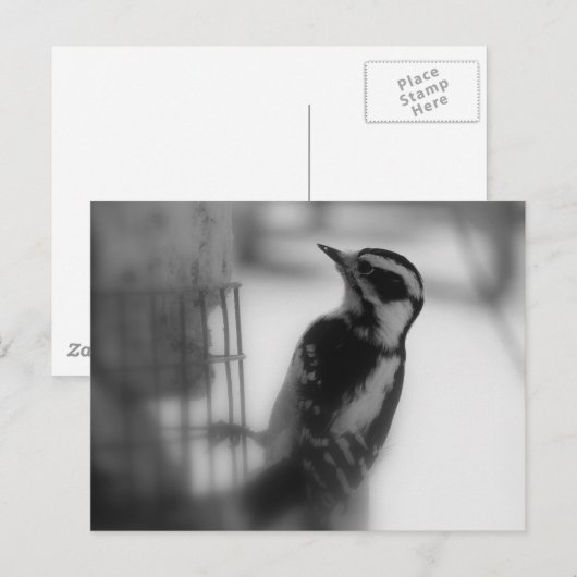 Downy Postkarte (Vorne/Hinten)