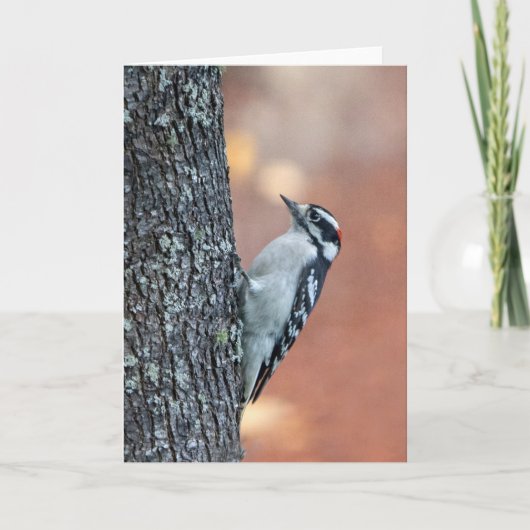 Downy Woodpecker Blank Note Card Karte (Vorderseite)