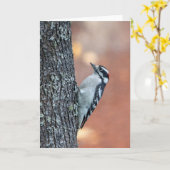 Downy Woodpecker Blank Note Card Karte (Gelbe Blume)