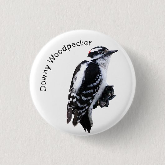 Downy Woodpecker Button (Vorderseite)