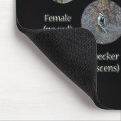 Downy Woodpecker Composite Bilder Objekte Mousepad (Ecke)
