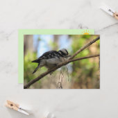 Downy Woodpecker Flat Greeting Card Karte (Vorderseite/Rückseite Beispiel)