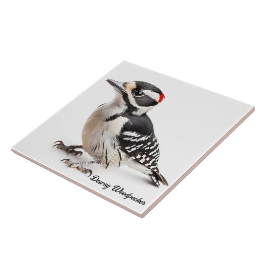 Downy Woodpecker Fliese (Seite)