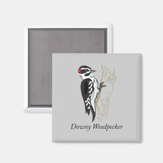Downy Woodpecker Illustration Magnet (Vorderseite/Rückseite)