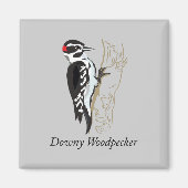 Downy Woodpecker Illustration Magnet (Vorne)
