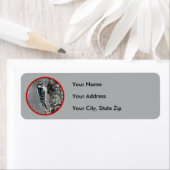 Downy Woodpecker in Snow - Original Foto (Insitu)