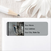 Downy Woodpecker in Snow - Original Foto (Insitu)