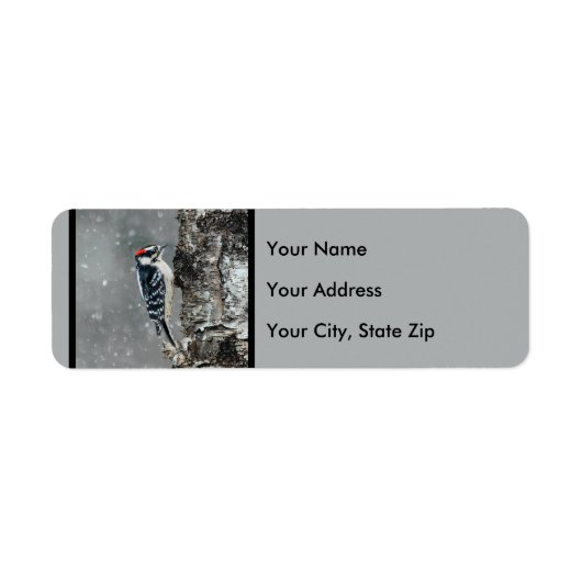 Downy Woodpecker in Snow - Original Foto (Vorne)