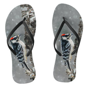 Downy Woodpecker in Snow - Original Foto Badesandalen