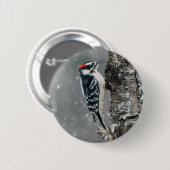 Downy Woodpecker in Snow - Original Foto Button (Vorne & Hinten)