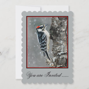 Downy Woodpecker in Snow - Original Foto Einladung