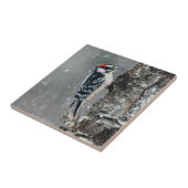 Downy Woodpecker in Snow - Original Foto Fliese (Seite)