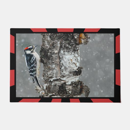 Downy Woodpecker in Snow - Original Foto Fußmatte (Vorderseite)
