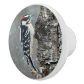 Downy Woodpecker in Snow - Original Foto Keramikknauf (Rechts)