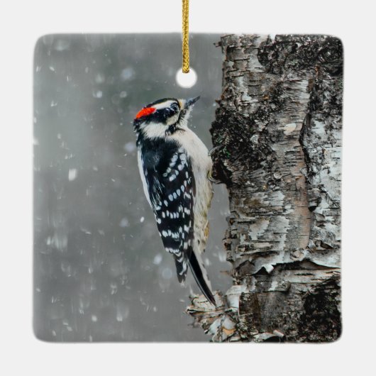 Downy Woodpecker in Snow - Original Foto Keramikornament (Rückseite)