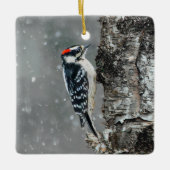 Downy Woodpecker in Snow - Original Foto Keramikornament (Vorderseite)