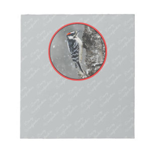 Downy Woodpecker in Snow - Original Foto Notizblock