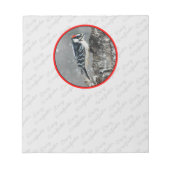 Downy Woodpecker in Snow - Original Foto Notizblock (Vorderseite)