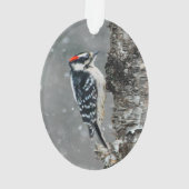 Downy Woodpecker in Snow - Original Foto Ornament (Rückseite)