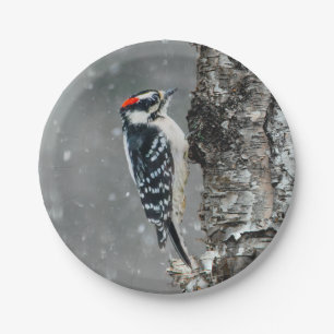 Downy Woodpecker in Snow - Original Foto Pappteller
