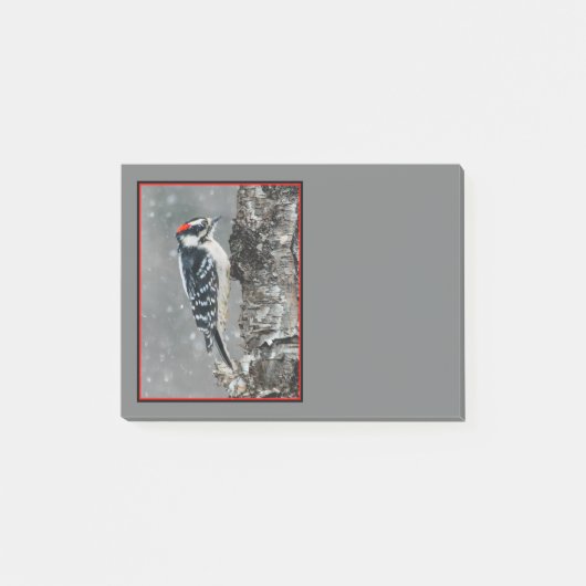 Downy Woodpecker in Snow - Original Foto Post-it Klebezettel (Vorderseite)