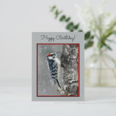 Downy Woodpecker in Snow - Original Foto Postkarte (Stehend Vorderseite)