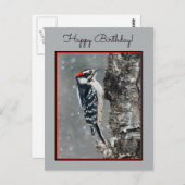 Downy Woodpecker in Snow - Original Foto Postkarte (Vorne/Hinten)