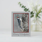 Downy Woodpecker in Snow - Original Foto Postkarte (Stehend Vorderseite)