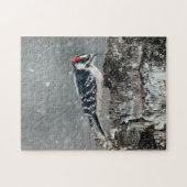 Downy Woodpecker in Snow - Original Foto Puzzle (Horizontal)