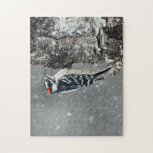 Downy Woodpecker in Snow - Original Foto Puzzle (Vertikal)
