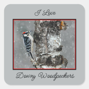Downy Woodpecker in Snow - Original Foto Quadratischer Aufkleber