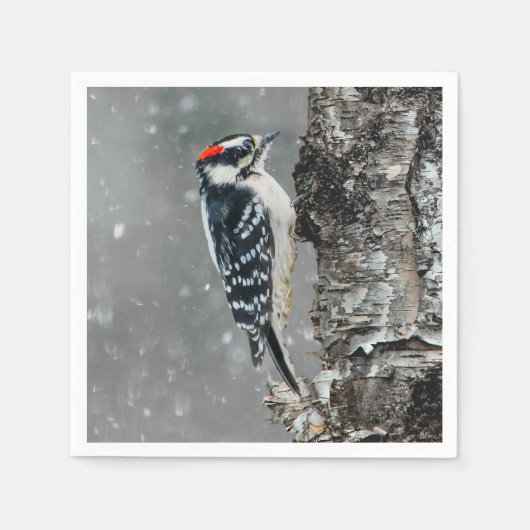 Downy Woodpecker in Snow - Original Foto Serviette (Vorderseite)
