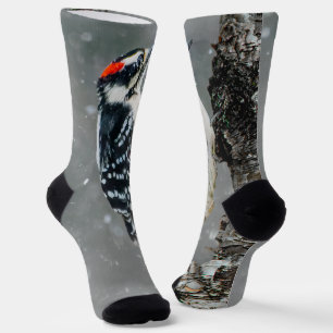 Downy Woodpecker in Snow - Original Foto Socken