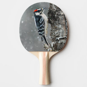 Downy Woodpecker in Snow - Original Foto Tischtennis Schläger