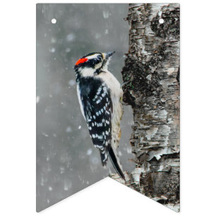 Downy Woodpecker in Snow - Original Foto Wimpelkette