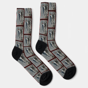 Downy Woodpecker in Winter Original Fotografie Socken