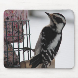Downy Woodpecker ist ein englischer Begriff, die Ü Mousepad