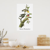 Downy Woodpecker - John Audubon Poster (Küche)
