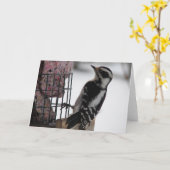 Downy Woodpecker Karte (Gelbe Blume)