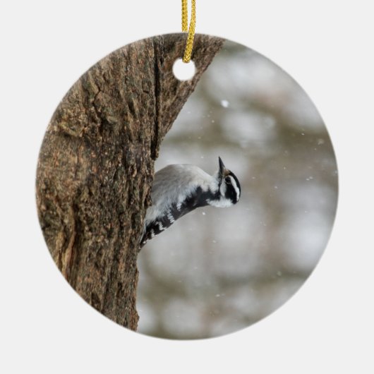Downy Woodpecker | KERAMIK Ornament (Vorne)