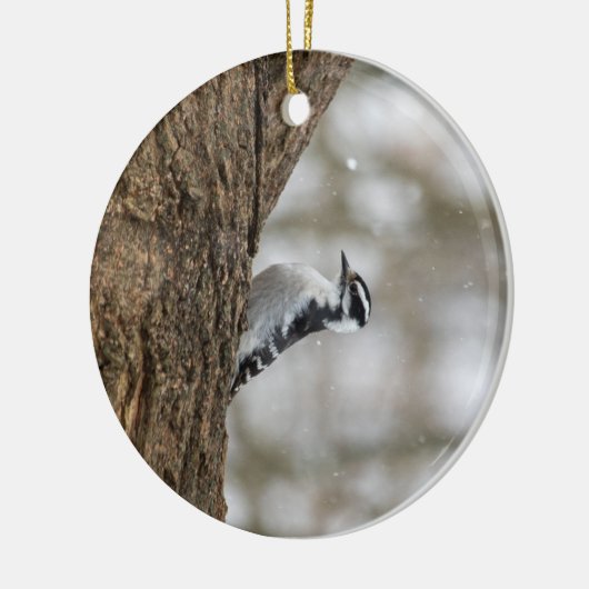 Downy Woodpecker | KERAMIK Ornament (Links)