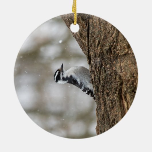 Downy Woodpecker | KERAMIK Ornament (Hinten)