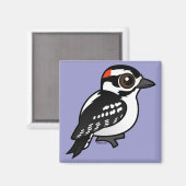 Downy Woodpecker Magnet (Vorderseite/Rückseite)