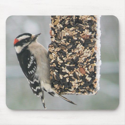 Downy Woodpecker-Mauspad Mousepad (Vorne)