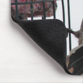 Downy Woodpecker Mousepad (Ecke)