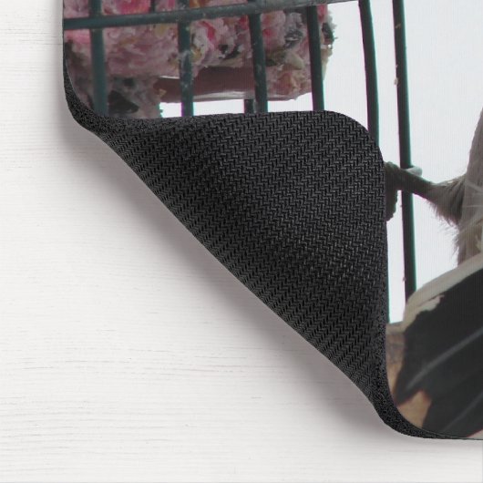 Downy Woodpecker Mousepad (Ecke)