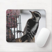 Downy Woodpecker Mousepad (Mit Mouse)