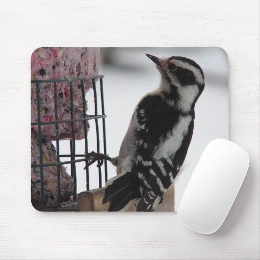 Downy Woodpecker Mousepad (Mit Mouse)